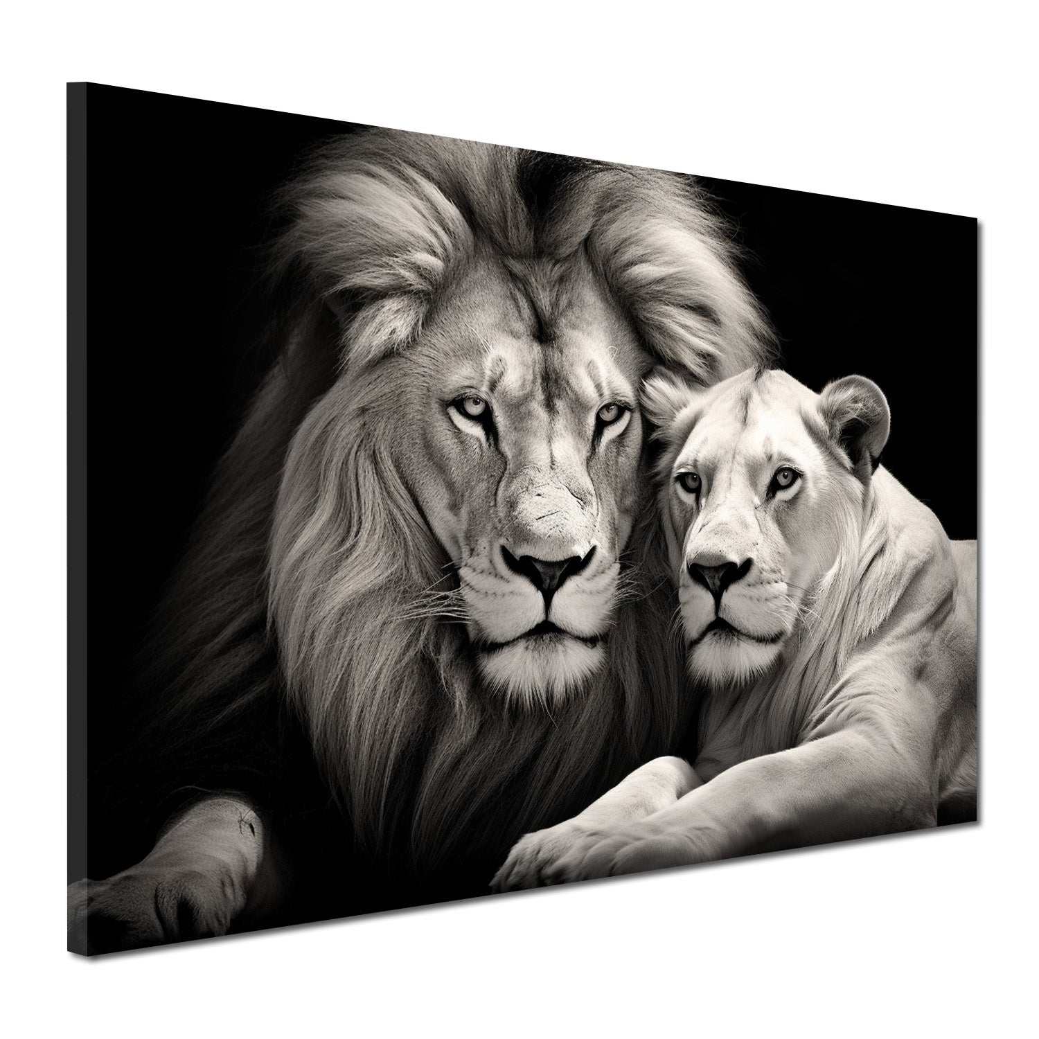 Quadro Leone e leonessa nero bianco [Consegna gratuita] –