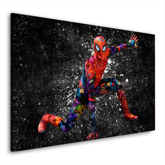 Quadro Graffiti Street Art Spider Style