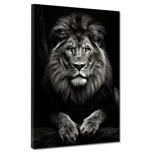 Quadro Leone Bellissimo Frontale Black Style