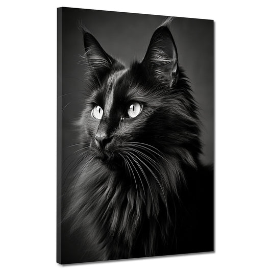 Quadro bellissimo gatto nero