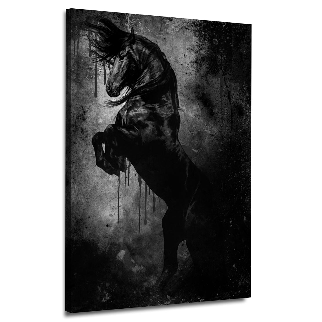 Quadro stampa su tela cavallo nero Black Style