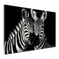 Quadro zebra bianco e nero