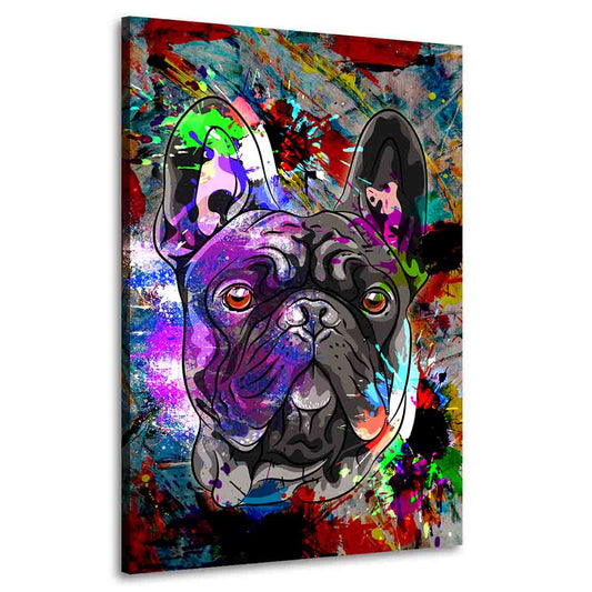 Quadro stampa su tela Bulldog francese Pop Art Colour, arte moderna, animali, cane
