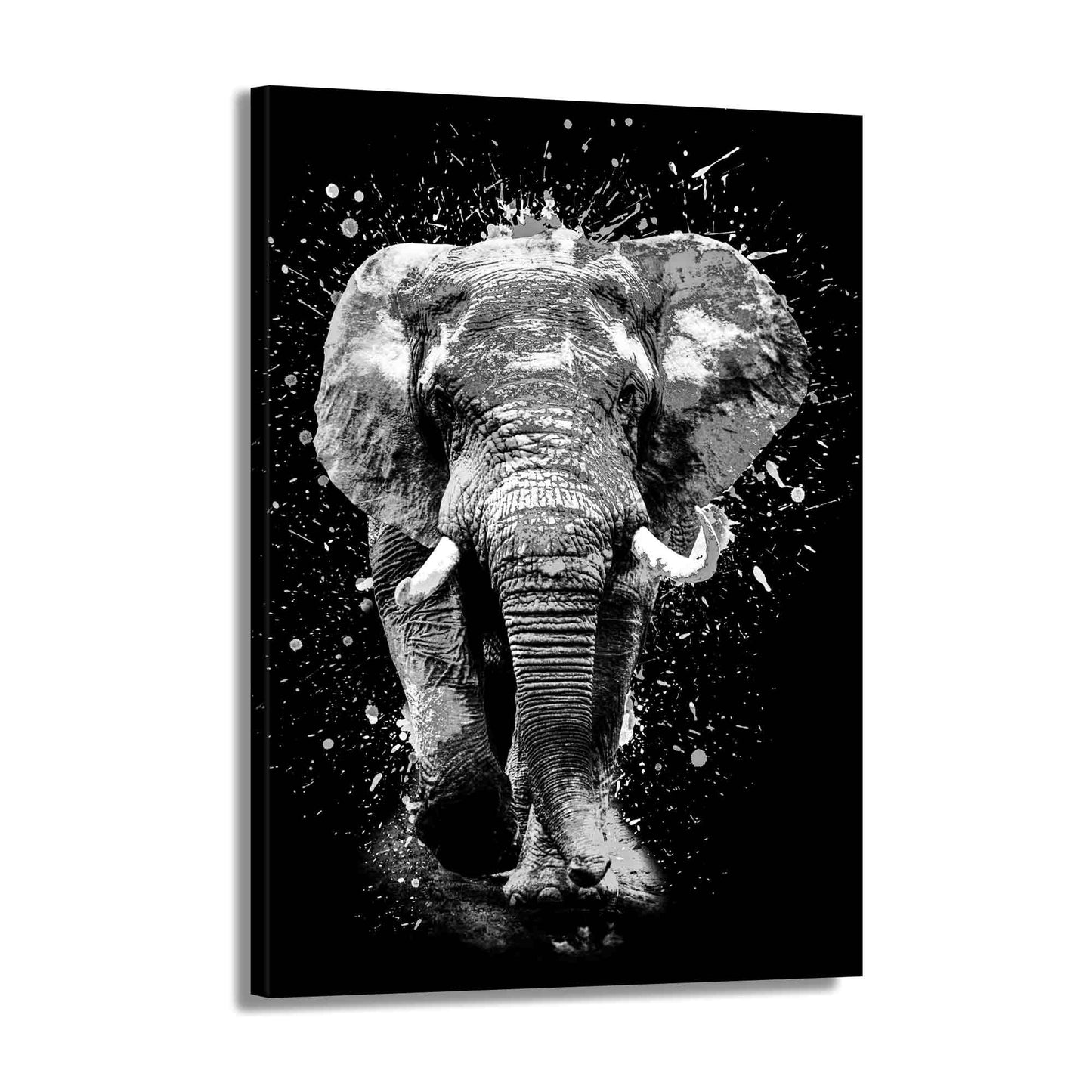 Quadro stampa su tela elefante Pop Art Black White Style