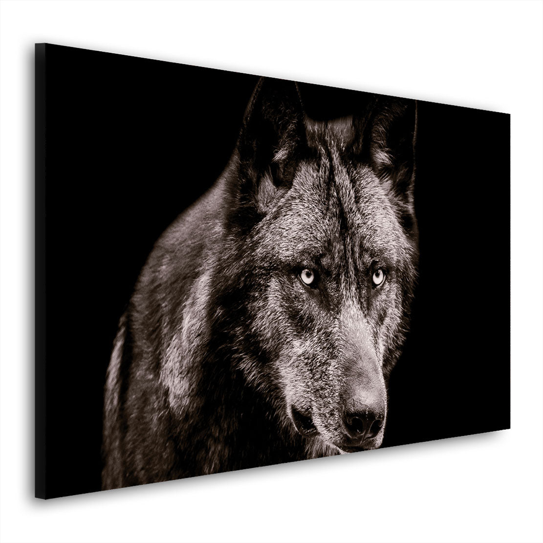 Quadro lupo bianco e nero Black Style - Artedinoi