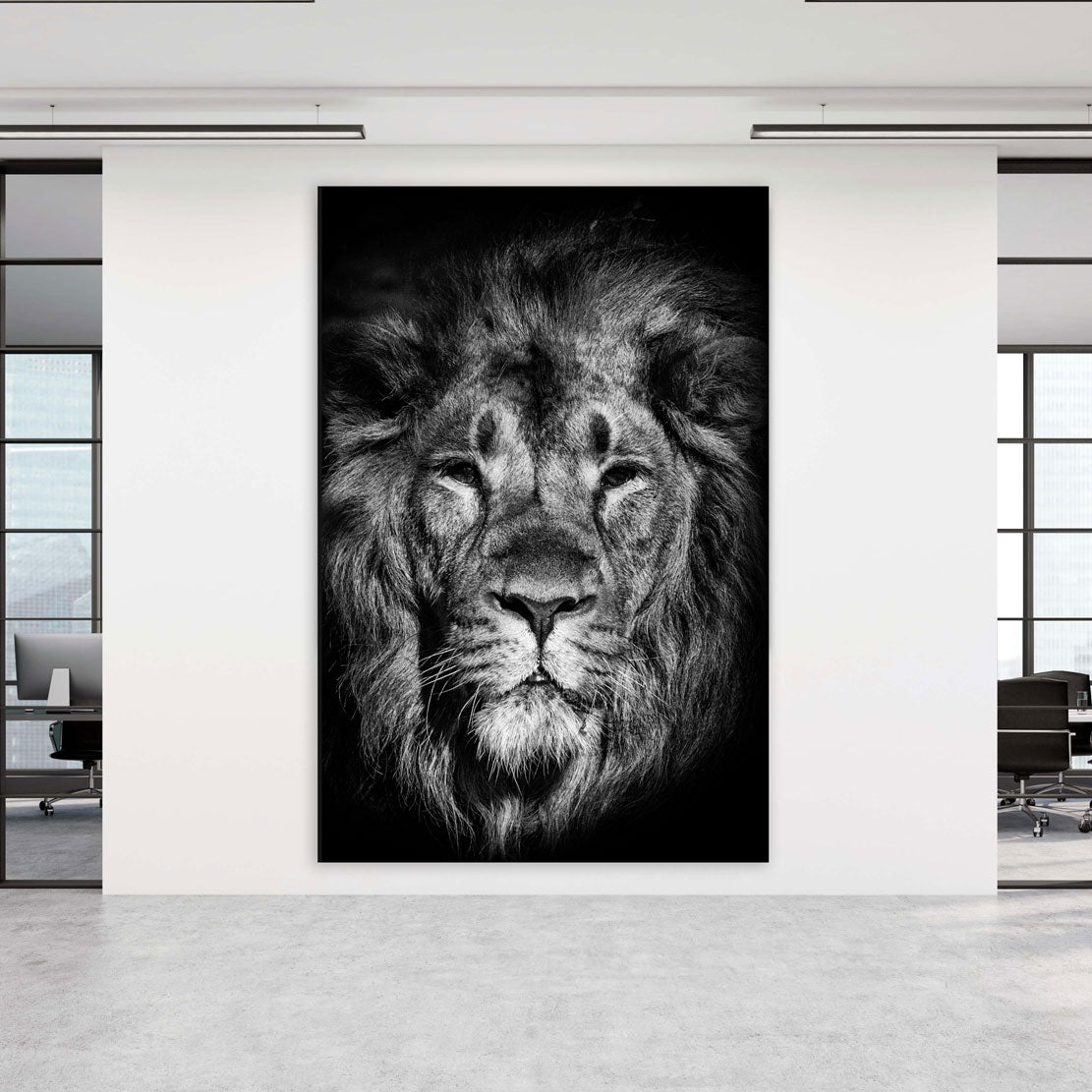 Quadro stampa su tela leone bellissimo bianco e nero, Black Style - Artedinoi